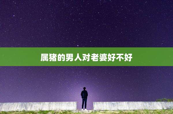 属猪的男人对老婆好不好