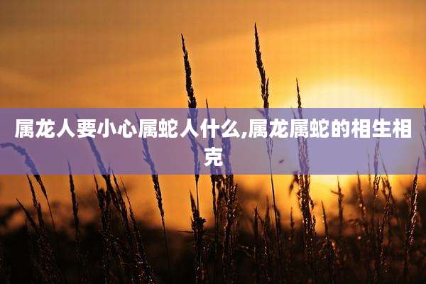 属龙人要小心属蛇人什么,属龙属蛇的相生相克