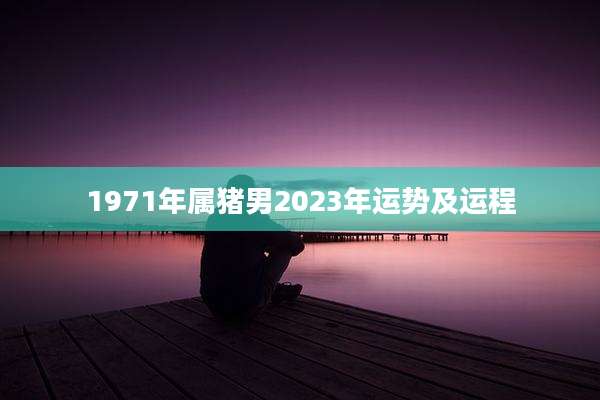 1971年属猪男2023年运势及运程