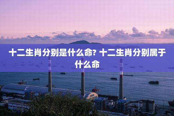 十二生肖分别是什么命? 十二生肖分别属于什么命