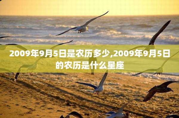 2009年9月5日是农历多少,2009年9月5日的农历是什么星座