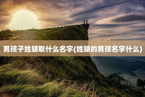 男孩子姓胡取什么名字(姓胡的男孩名字什么)
