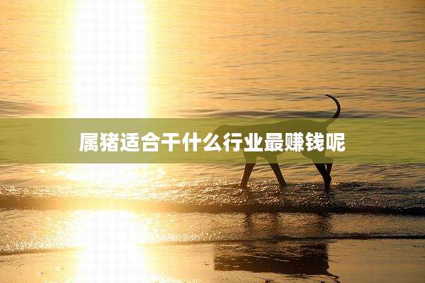 属猪适合干什么行业最赚钱呢