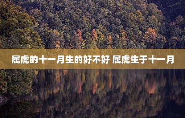 属虎的十一月生的好不好 属虎生于十一月