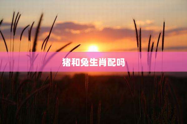 猪和兔生肖配吗