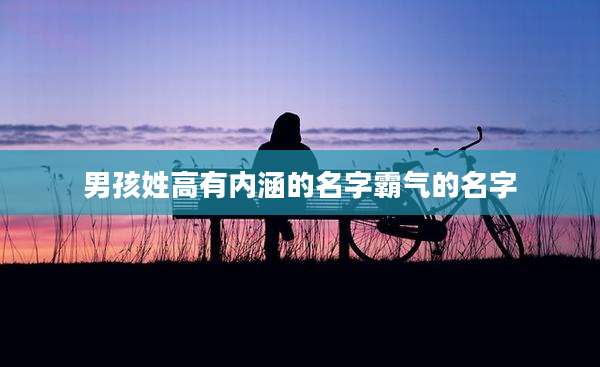 男孩姓高有内涵的名字霸气的名字