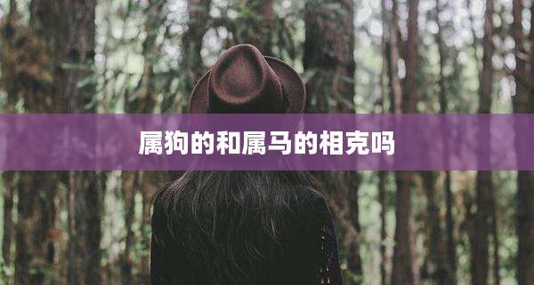 属狗的和属马的相克吗