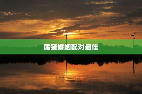 属猪婚姻配对最佳