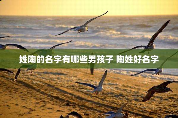 姓陶的名字有哪些男孩子 陶姓好名字