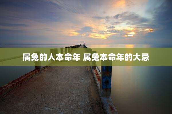 属兔的人本命年 属兔本命年的大忌