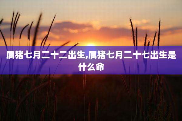 属猪七月二十二出生,属猪七月二十七出生是什么命