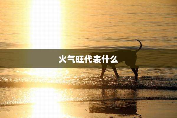 火气旺代表什么