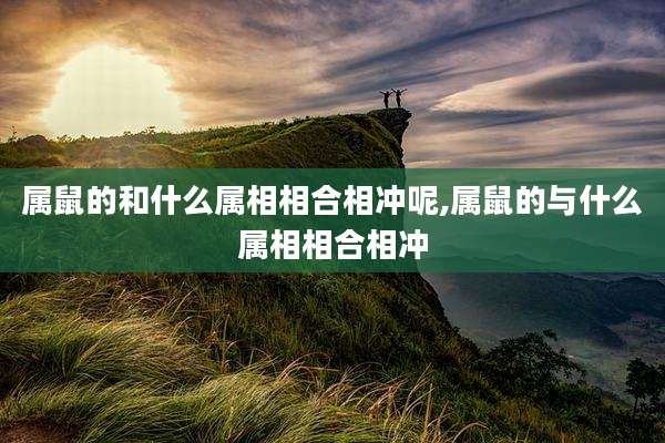 属鼠的和什么属相相合相冲呢,属鼠的与什么属相相合相冲