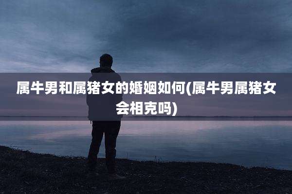 属牛男和属猪女的婚姻如何(属牛男属猪女会相克吗)