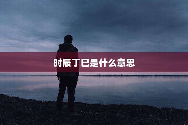 时辰丁巳是什么意思