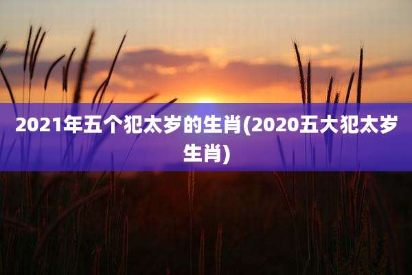 2021年五个犯太岁的生肖(2020五大犯太岁生肖)