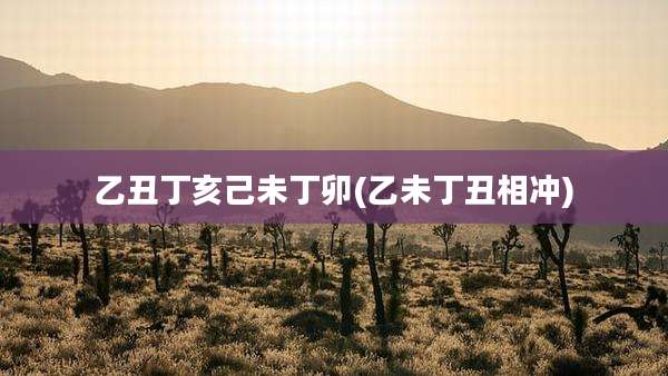 乙丑丁亥己未丁卯(乙未丁丑相冲)