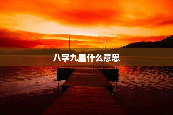 八字九星什么意思