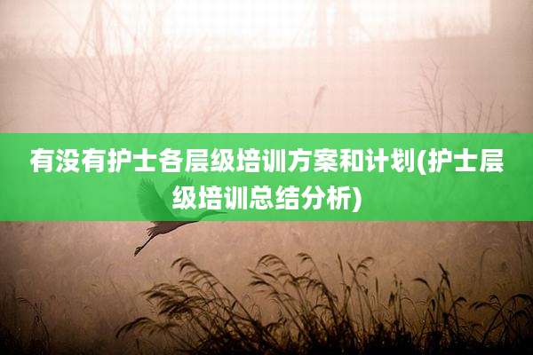 有没有护士各层级培训方案和计划(护士层级培训总结分析)