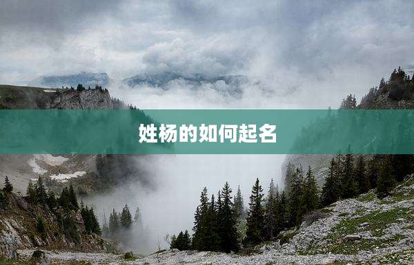 姓杨的如何起名