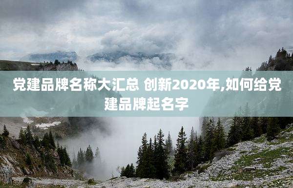 党建品牌名称大汇总 创新2020年,如何给党建品牌起名字