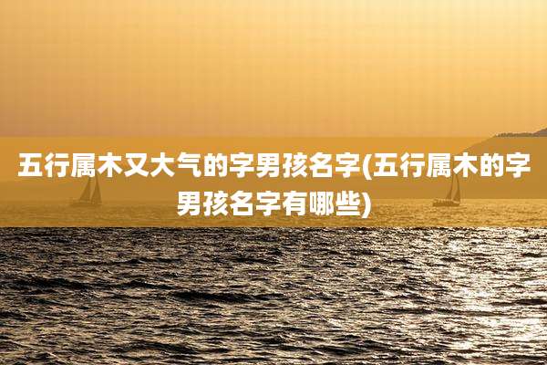 五行属木又大气的字男孩名字(五行属木的字男孩名字有哪些)