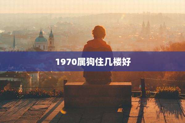 1970属狗住几楼好