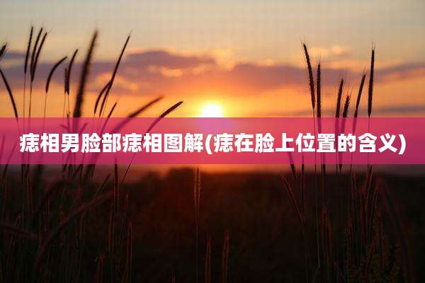 痣相男脸部痣相图解(痣在脸上位置的含义)