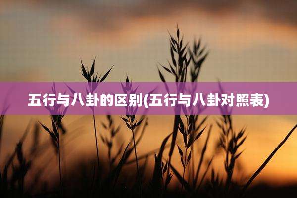 五行与八卦的区别(五行与八卦对照表)