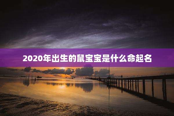 2020年出生的鼠宝宝是什么命起名