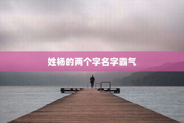 姓杨的两个字名字霸气