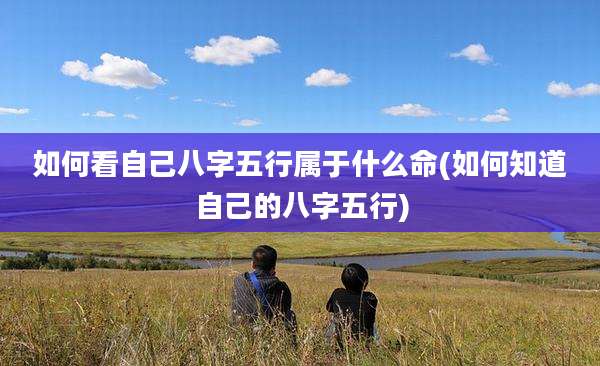 如何看自己八字五行属于什么命(如何知道自己的八字五行)