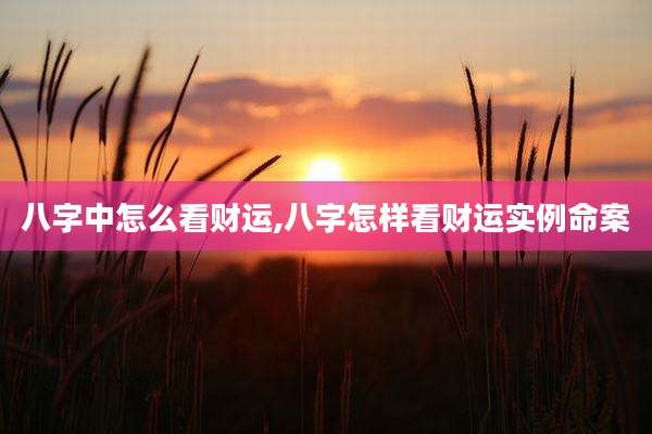 八字中怎么看财运,八字怎样看财运实例命案