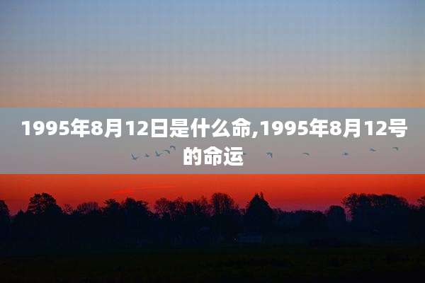 1995年8月12日是什么命,1995年8月12号的命运