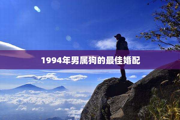 1994年男属狗的最佳婚配