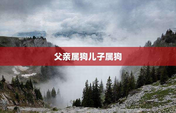 父亲属狗儿子属狗