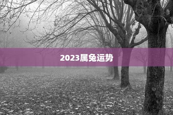 2023属兔运势