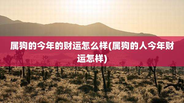 属狗的今年的财运怎么样(属狗的人今年财运怎样)