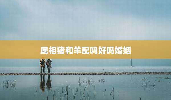 属相猪和羊配吗好吗婚姻