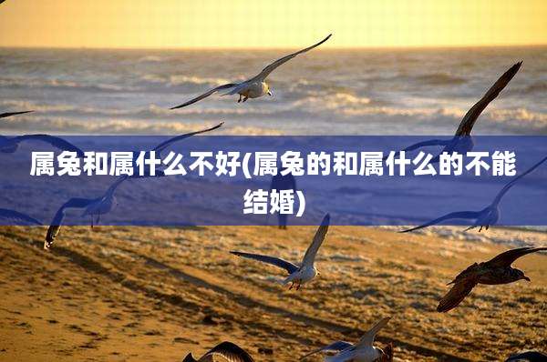 属兔和属什么不好(属兔的和属什么的不能结婚)