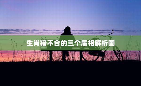 生肖猪不合的三个属相解析图