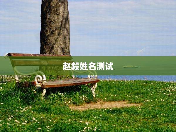 赵毅姓名测试