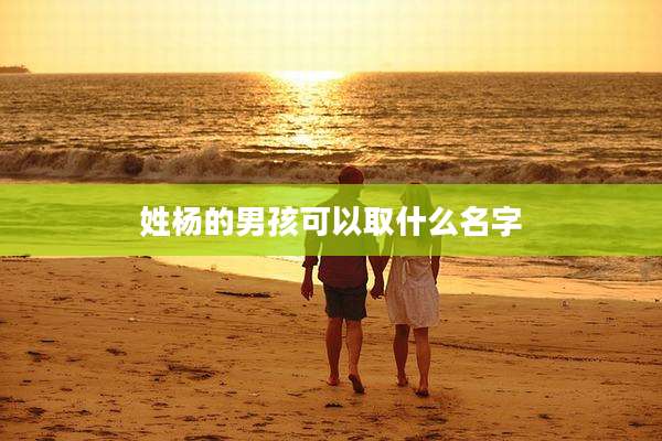 姓杨的男孩可以取什么名字