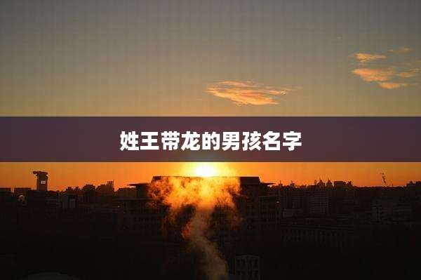 姓王带龙的男孩名字