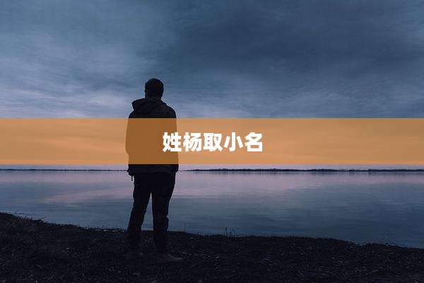 姓杨取小名