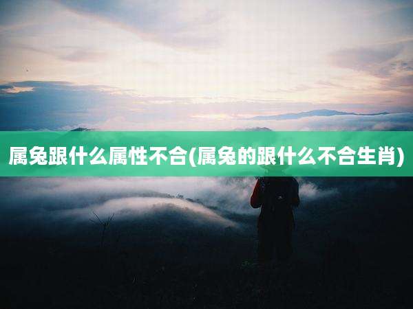 属兔跟什么属性不合(属兔的跟什么不合生肖)