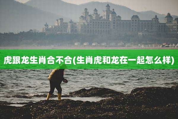 虎跟龙生肖合不合(生肖虎和龙在一起怎么样)