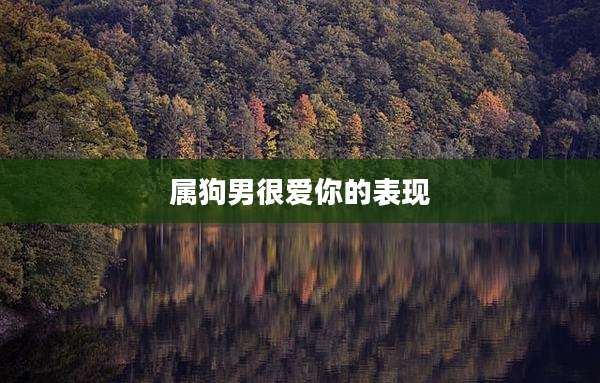 属狗男很爱你的表现