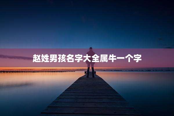 赵姓男孩名字大全属牛一个字
