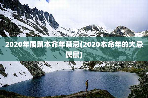 2020年属鼠本命年禁忌(2020本命年的大忌属鼠)